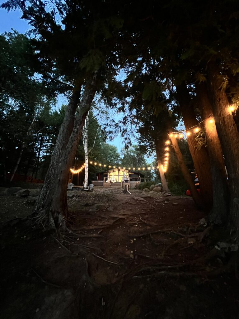 Outdoor string lights illuminating a garden at dusk